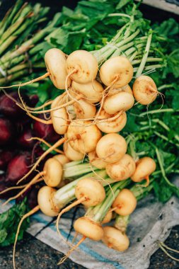 White turnips on the counter on the market. Fresh root vegetables from the farmer. Turnip texture.