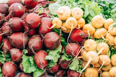 Sebzeler pazar tezgahında. Kırmızı ve beyaz turp. Taşkent'te pazarda yürüyüş.
