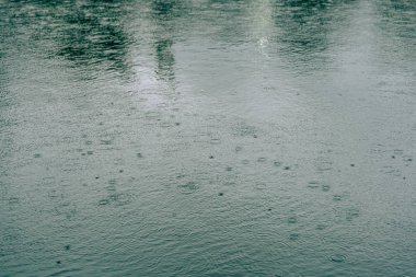 Su yüzeyinde yağmur damlaları. Park'taki göl. Taşkent şehrini dolaşın.