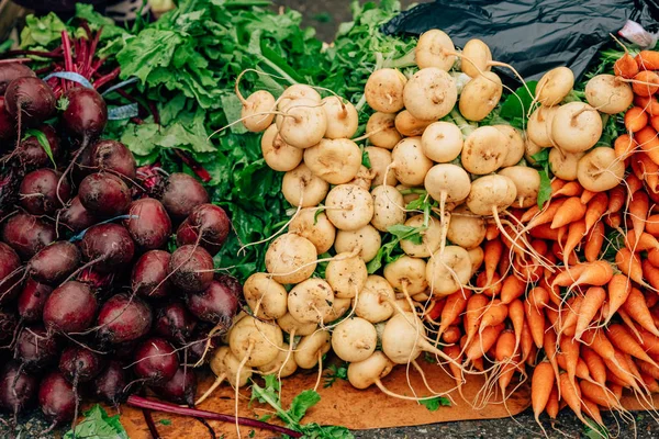 Овощи Рынке Красно Белая Редиска Прогулка Рынку Ташкенте — стоковое фото