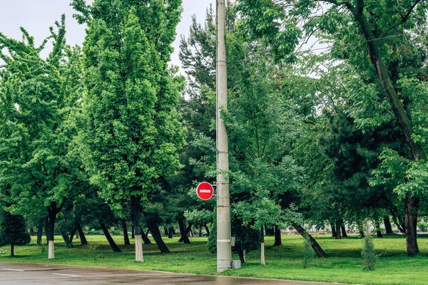 Road Sign Prohibiting Travel Tall Green Trees Sidewalk Walk Streets — Stock Photo, Image