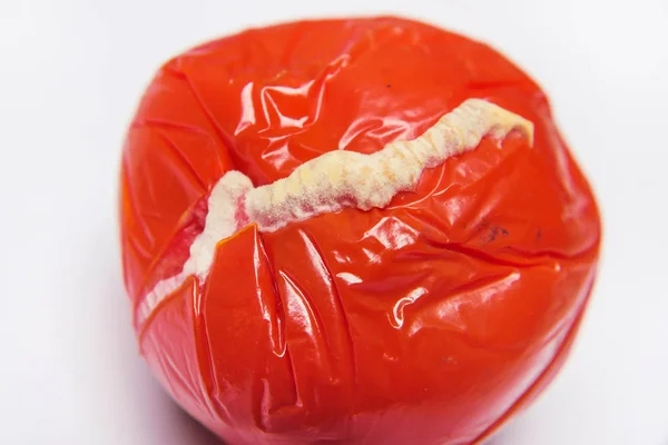 Legume Estragado Tomate Vermelho Com Mofo Molde Comida Superfície Danificada — Fotografia de Stock