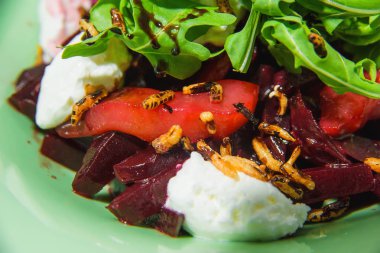 Pancar ve arugula ile salata. Yumuşak peynirli sebze salatası. Vejetaryen yemek