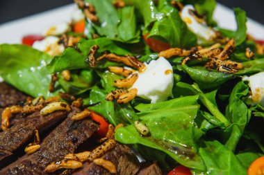 Sebze salatalı biftek. Et yemeği. Dilimlenmiş kavrulmuş et. Çeri domatesli salata.