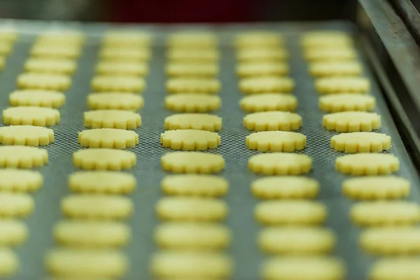 Producción Galletas Pan Corto Preparación Galletas Una Fábrica Dulces Postre —  Fotos de Stock