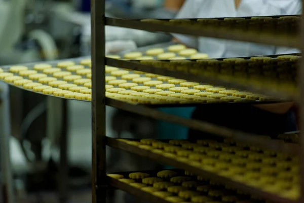 Production of shortbread cookies. Preparation of cookies at a candy factory. Sweet dessert.