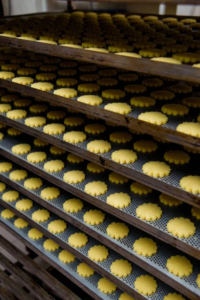 Produzione Biscotti Frolla Preparazione Biscotti Una Fabbrica Caramelle Dolce Dessert — Foto Stock