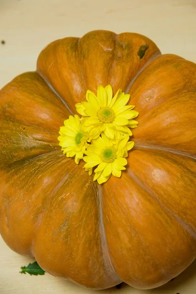 Rund Orangefarbener Kürbis Steht Auf Dem Tisch Gelbe Blüten Auf — Stockfoto