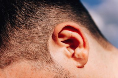Erkek kulağı. Adamın yüzünde kıllar var. İnsan auricle yapısı.