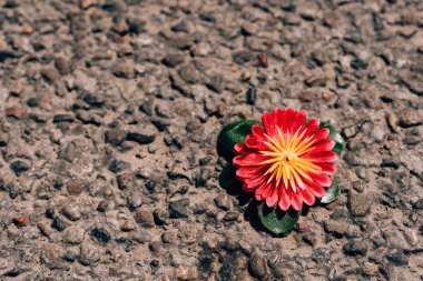 Kaldırımda yatan yapay çiçek. Asfalt kaplama nın dokusu. Küçük bir dekoratif çiçek.