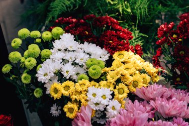 Krizantem renkli buketleri sokakta vazobulunmaktadır. Çimkent şehrinde Arbat caddesi boyunca yürüyün. Kazakistan'da çiçek festivali.