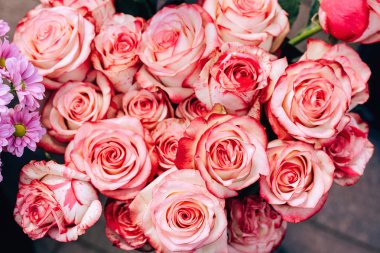 Renkli gül buketleri. Çimkent şehrinde Arbat caddesi boyunca yürüyün. Kazakistan'da çiçek festivali.