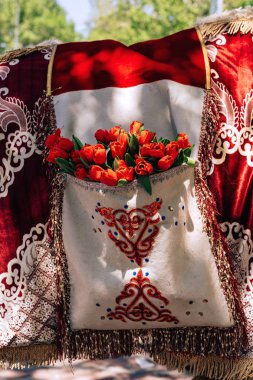 Bir deve üzerinde Kazak ulusal süs ile Cape. Cebimde laleler var. Çimkent şehrinde Arbat caddesi boyunca yürüyün. Kazakistan'da çiçek festivali.