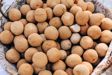 Kazak kurt bir fincanda. Kazak milli tedavi Kurt. Kırgız tuz lezzeti Kurt. Masada beyaz tuzlu toplar