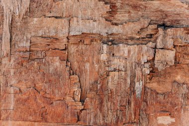 Eski preslenmiş ahşap panel. Çatlamış ahşap panel. Ahşap yapı malzemelerinin yanlış saklanması. Eski ahşap parça