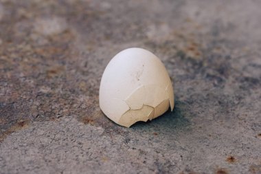 Demir arka planda yumurta kabuğu. Kırık yaşlı yumurta. Metalik arka planda boş yumurta