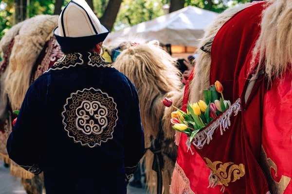 Kazak milli elbiseli bir adam develerin arka planına karşı duruyor. Çimkent şehrinde Arbat caddesi boyunca yürüyün. Kazakistan'da çiçek festivali.