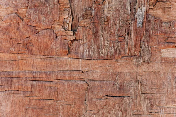 Old Pressed Wood Panel Cracked Wood Panel Improper Storage Wooden — Stock Photo, Image
