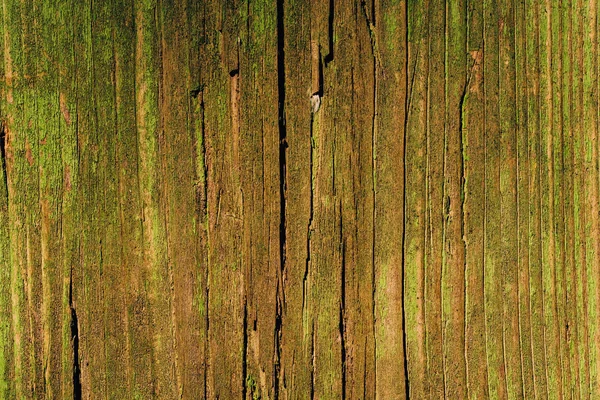 Wood Texture Green Paint Old Cracked Green Paint Corrupted Facade — 스톡 사진