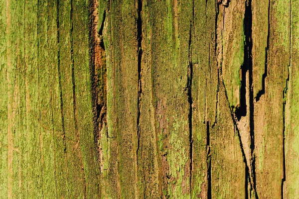 Wood Texture Green Paint Old Cracked Green Paint Corrupted Facade — 스톡 사진