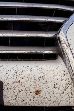 Arabanın kırık midgesi. Arabanın tamponundaki böcekleri öldürdü. Otobanda uçan böcekler