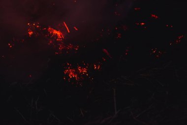 Geceleri yanan ateş. Büyük turuncu alev ve duman. Alevler içinde kırmızı-sıcak kömürler. Kazakistan'da açık hava rekreasyon.