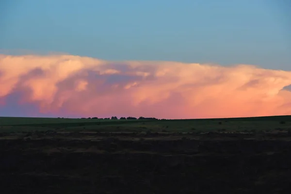 Rosa Bewölkter Himmel Über Der Steppe Abendliche Ansicht Der Natur — Stockfoto