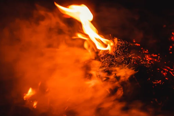 夜间着火 大橙色火焰和烟雾 火焰中着火的红煤 哈萨克斯坦的户外休闲活动 — 图库照片