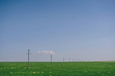 Elektrik hattının kablolarındaki kuşlar. Baharda bozkırda kablolar üzerinde vahşi kuşlar. Güney Kazakistan 'da elektrik hatları