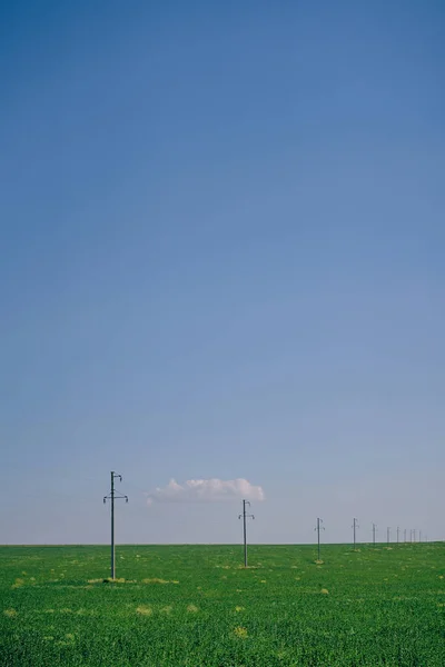 Vögel Auf Den Drähten Der Hochspannungsleitung Wildvögel Drähten Der Steppe — Stockfoto