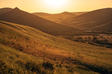 Güney Kazakistan bölgesinin manzarası. Çimkent'teki dağ rezervi Boraldai. Gün batımında bozkır bitki örtüsü