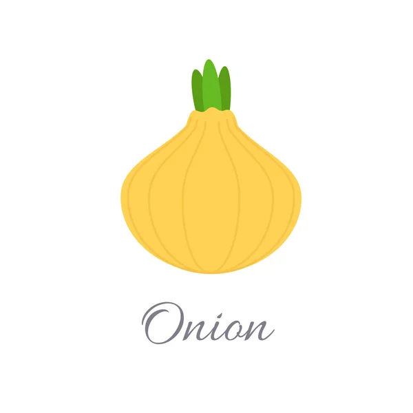 Icono de cebolla con título — Vector de stock