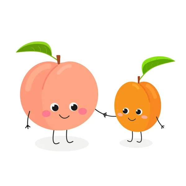Vectorillustratie van schattige cartoon perzik en abrikoos — Stockvector
