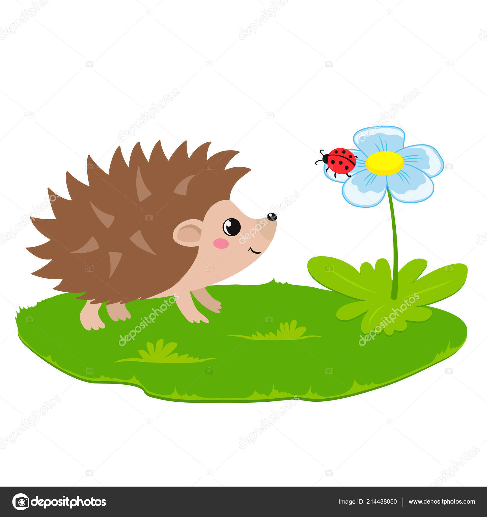 可爱的刺猬和瓢虫的矢量插画图库矢量图©mayalis 214438050, image size:1600x1700