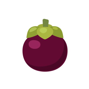 Yaprak düz tasarım vektör illüstrasyonlu mangosteen