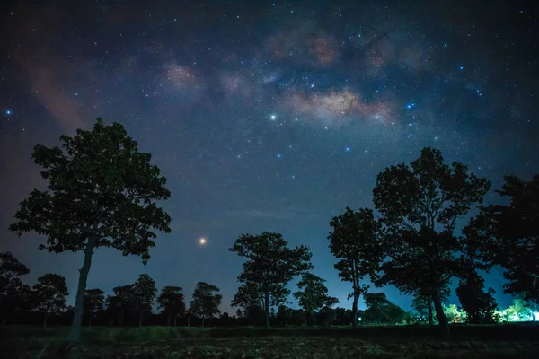 Samanyolu siluet ağaçlar üzerinde 