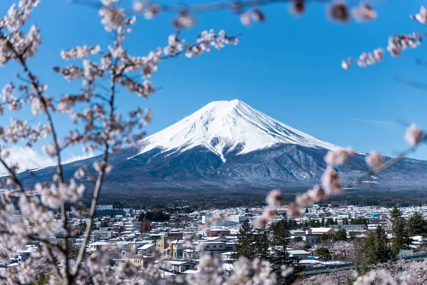 Sakura forground ile Mt.Fuji ve şehir görünümü