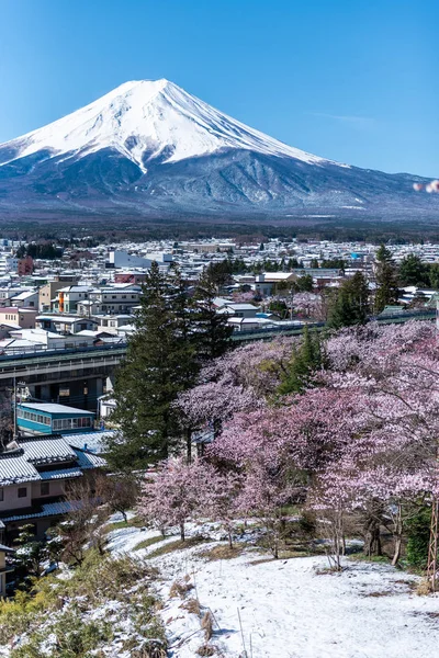 Sakura ve kar ön plan ile Mt.Fuji şehir görünümü