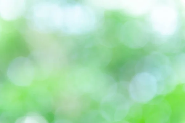 Yeşil bokeh arka plan , taze