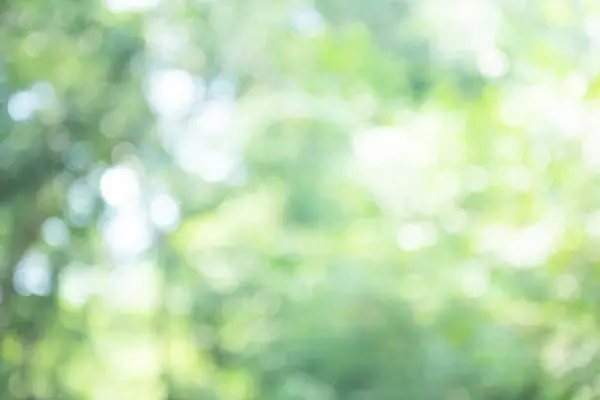 Yeşil bokeh arka plan , tazelik
