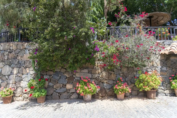 Flower Decoration Outside A House — Stock Photo, Image