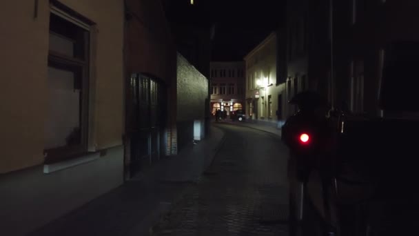 Schitterende stad Brugge Beroemd Uitzicht, België — Stockvideo
