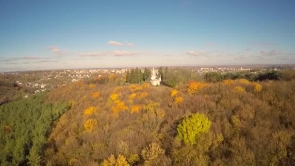 Luchtfoto van een kerk in het bos — Stockvideo