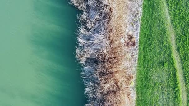Magny-le-Hongre'da bir gölün ve ağaçların havadan görünümü — Stok video