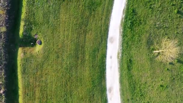 Veduta aerea di una giovane donna che porta a spasso il suo cagnolino nel Parco — Video Stock