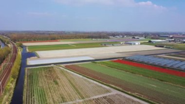 Lale ampulünün havadan görünümü-Springtime, Holland, Hollanda