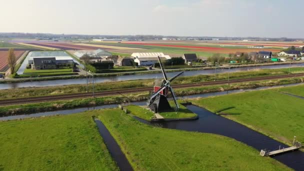 Vista aérea del molino de viento tradicional holandés, Países Bajos, Holanda — Vídeo de stock