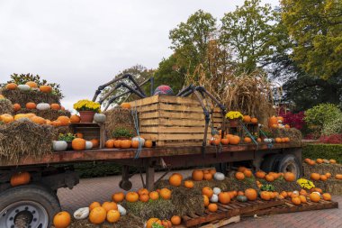 Bir kamyonda kabaklar, sonbahar manzarası