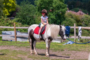 At biniciliği, güzel binicilik - genç kız ata biniyor
