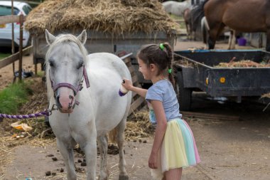 Gülümseyen güzel genç kız dışarıda çayırda çalı çırpıyla atı tımar ediyor.